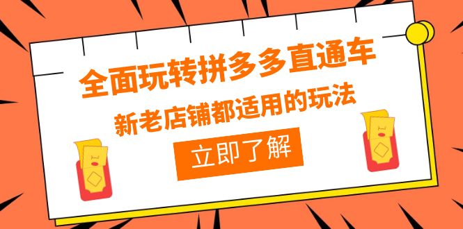 【副业项目6359期】全面玩转拼多多直通车，新老店铺都适用的玩法（12节精华课）缩略图