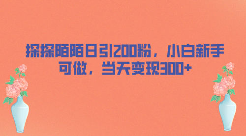 【副业项目7026期】探探陌陌日引200粉，小白新手可做，当天就能变现300+缩略图