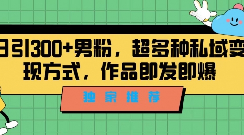 【副业项目7191期】独家推荐！日引300+男粉，超多种私域变现方式缩略图