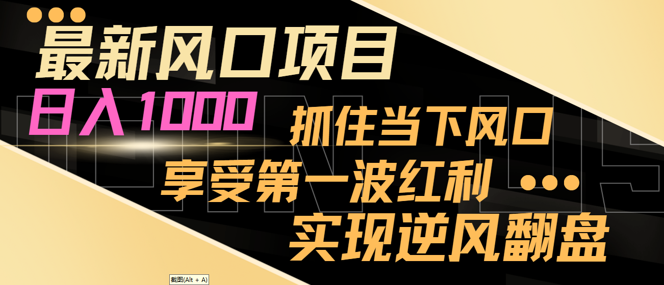 【副业8650期】最新风口项目，日入过千，抓住当下风口，享受第一波红利，实现逆风翻盘缩略图