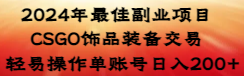 【副业8982期】2024年最佳副业项目 CSGO饰品装备交易 轻易操作单账号日入200+缩略图