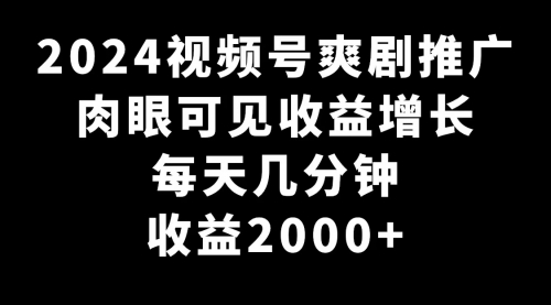 【副业9031期】2024视频号爽剧推广，肉眼可见的收益增长，每天几分钟收益2000+缩略图